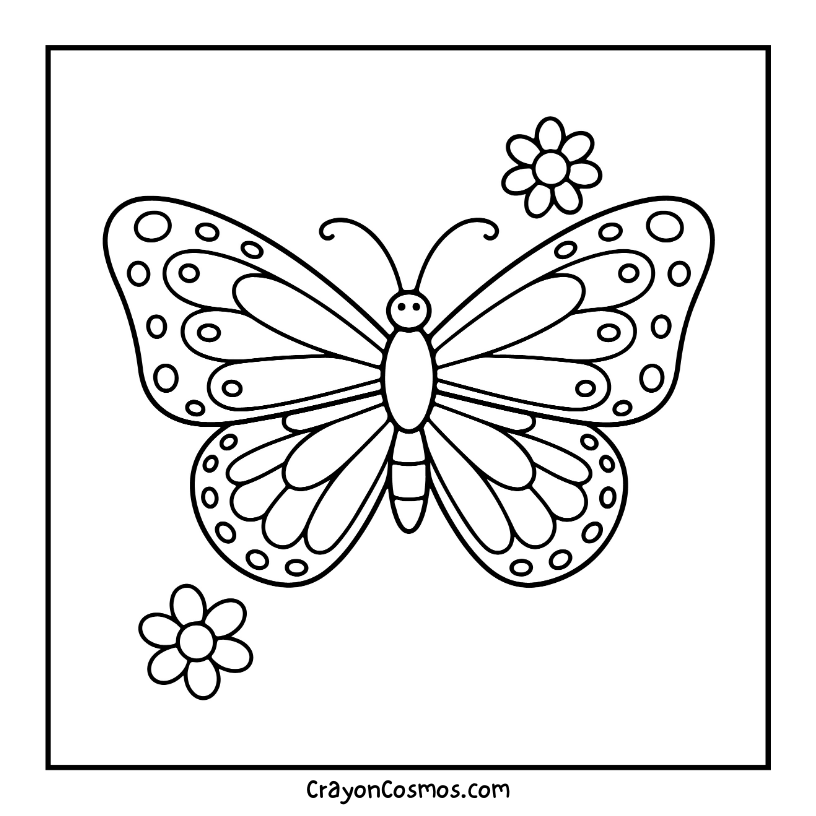 20.Butterfly-with-intricate-wing-pattern